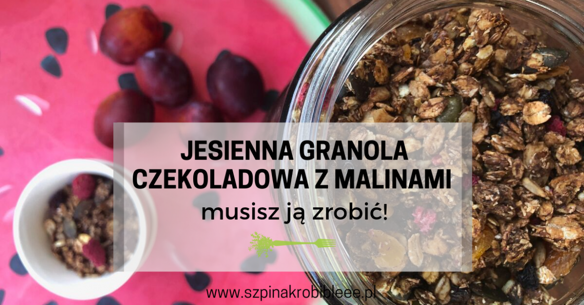 granola-czekoladowa-z-malinami granola-czekoladowa-z-malinami